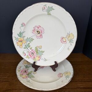Crooksville James California Poppy Dinner Plates 10" Set Vintage Ceramic